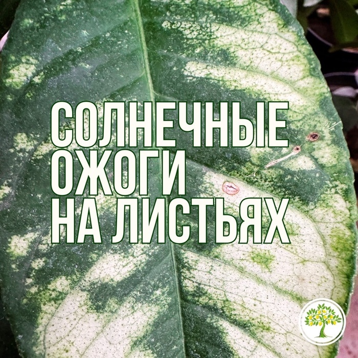      , , 