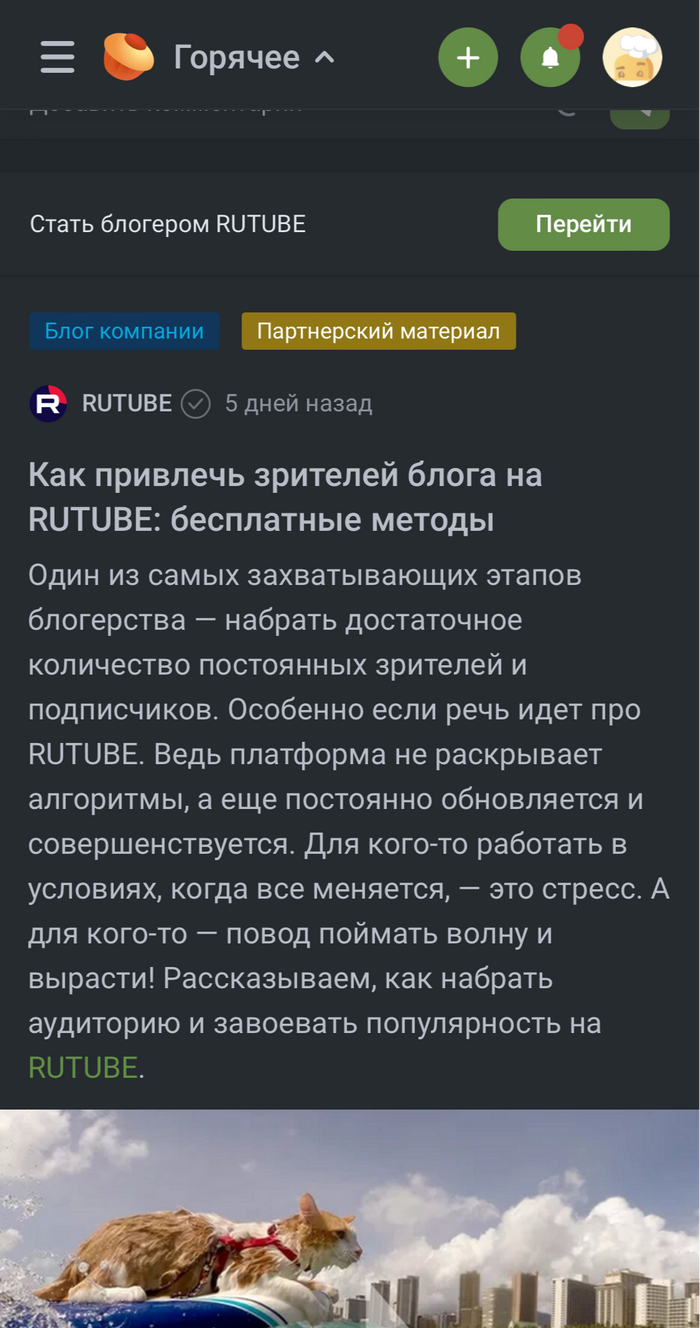 ����, ��� ������ �� ������� ��������