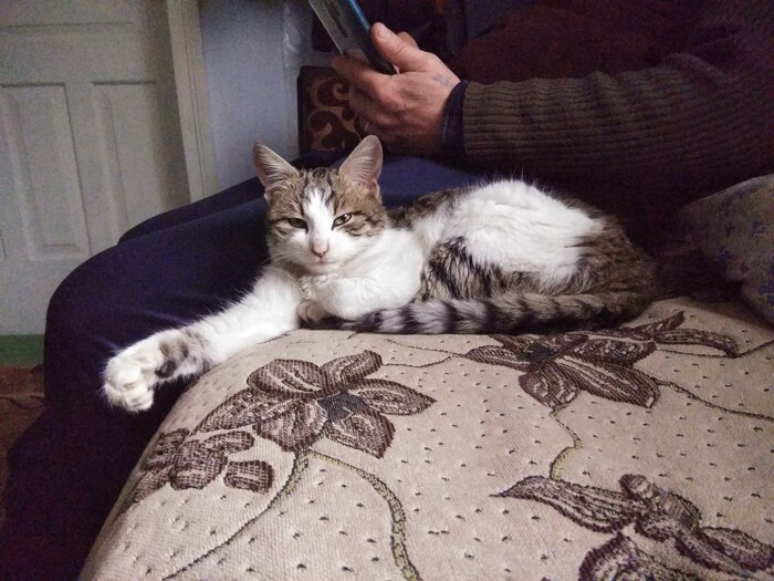 Презренно смотрит)