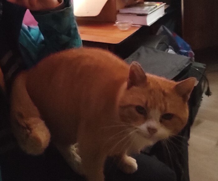 ��� ����� �����, ��� �� �������� ����� ����� �����, � ����� �� ����� �������)