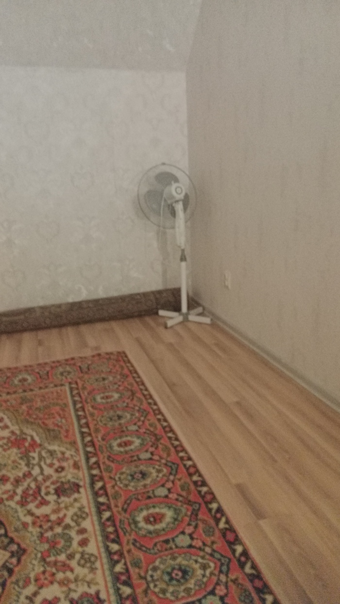 Сам виноват, зима