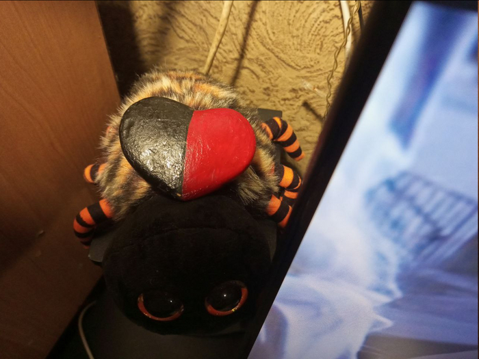 Паука зовут Павук