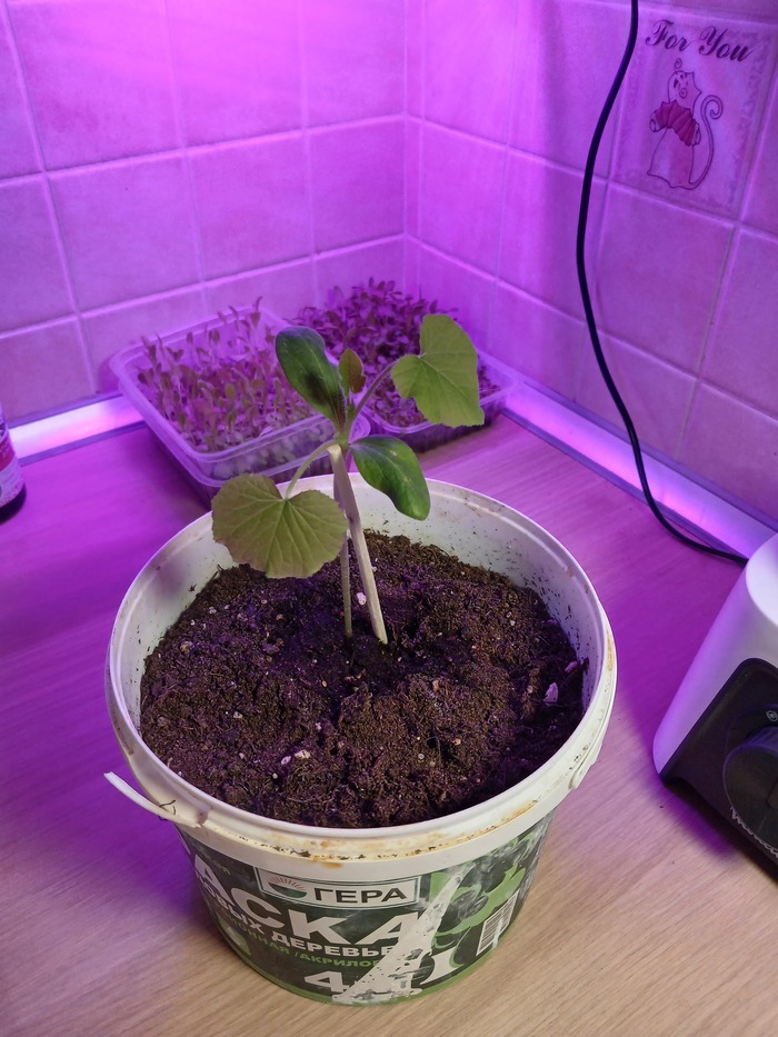 �� ������ ����� ����� (�� ������, �� ���� ����������) � ������ (������, ����� ���������).