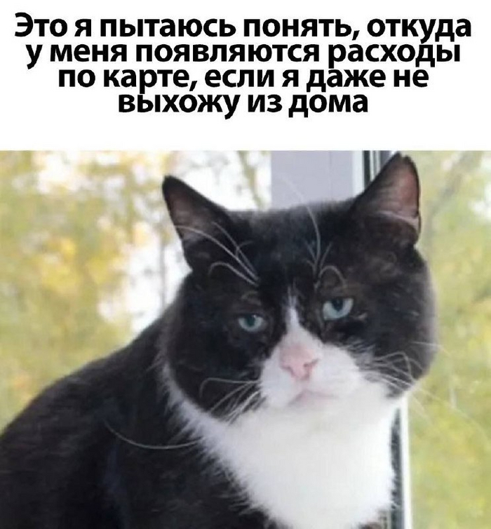  , Telegram (), ,   