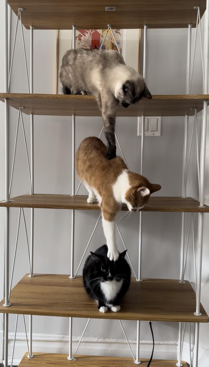 Доставание