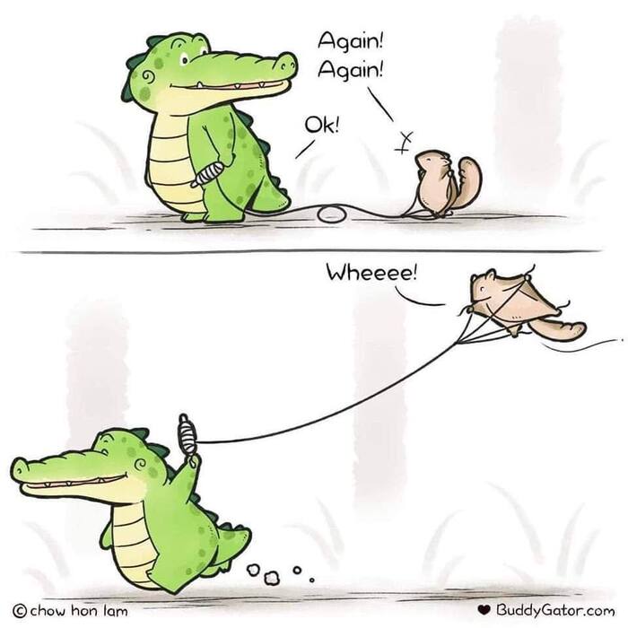  , Buddygator, -, ,  