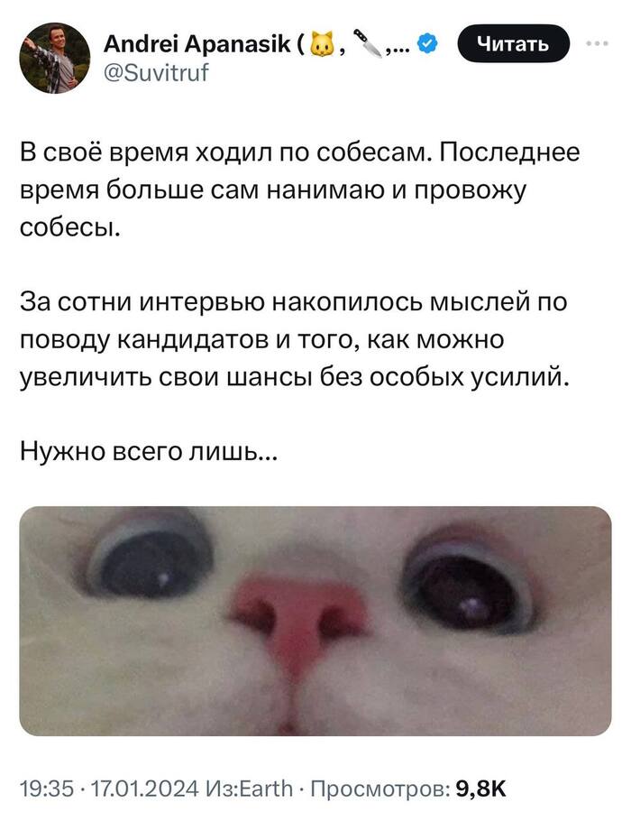    ,  ,        , X (Twitter), , , IT, , Telegram ()
