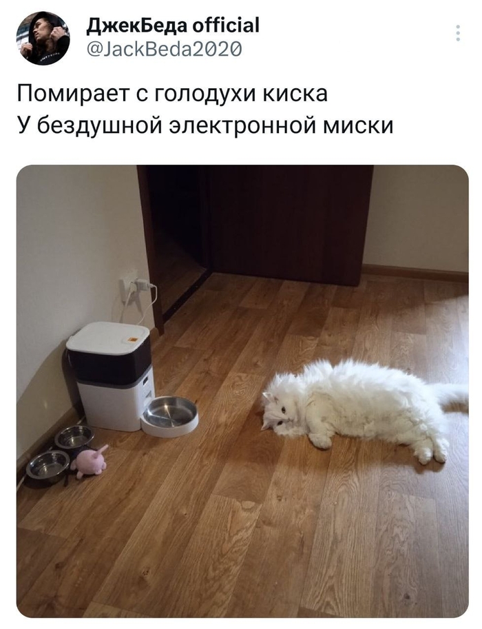  , , X (Twitter), , , Telegram ()