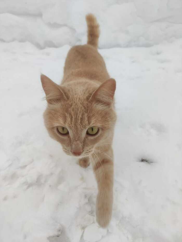 ���� �����...