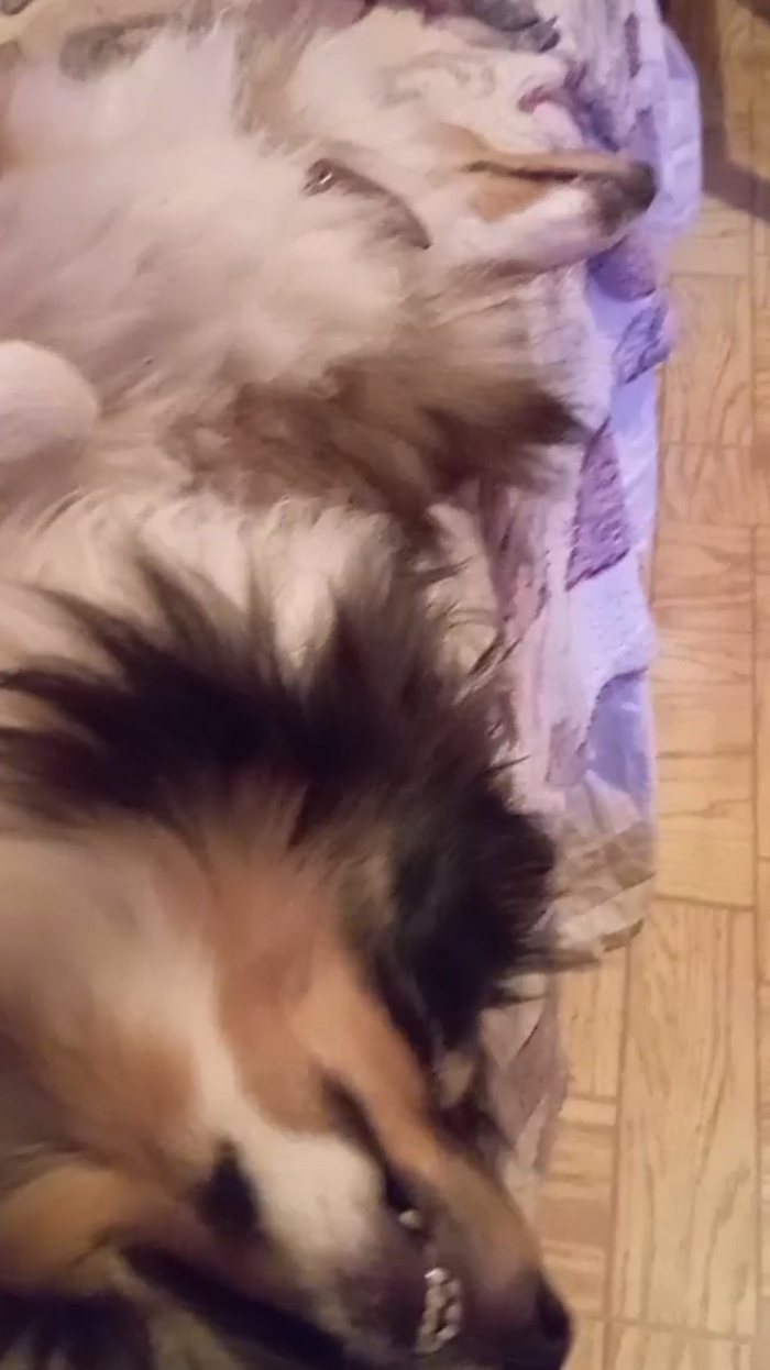 Поделитесь