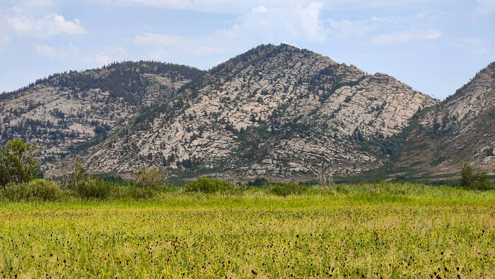 ����� ��������� � ���� �����������