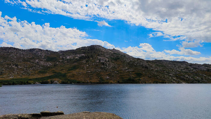 ���� ������