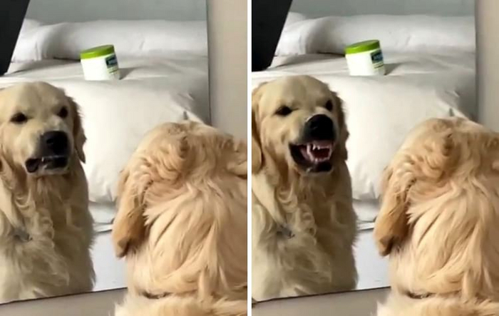 ����� �������� � ������� � ������ ������� ���� ����� �������.