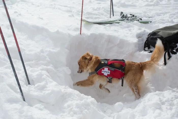 ������ ������� ������.