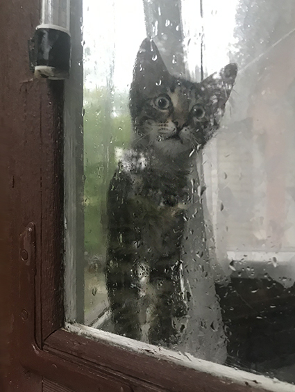 Малыш первый раз видит ливень.