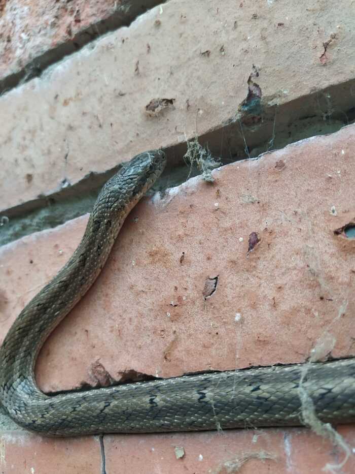 ��, ���������� ���������� ������.