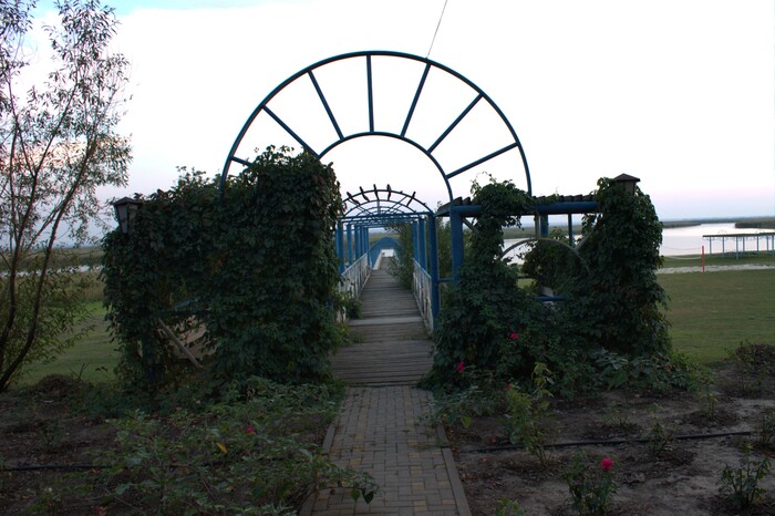 ����� ���������