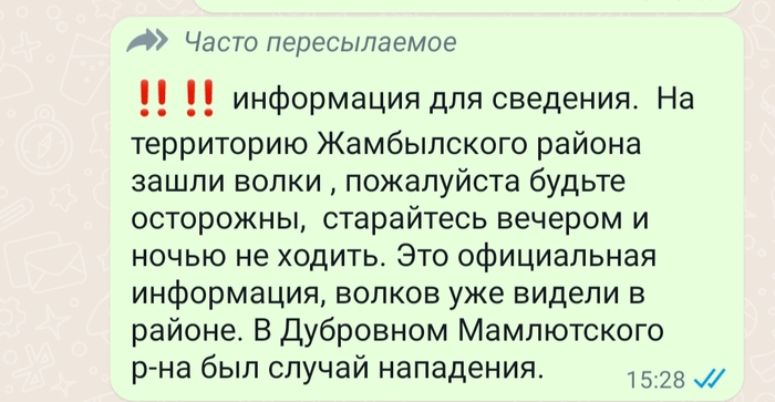 Волки. Казахстан | Пикабу