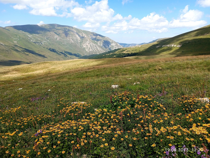 Тропа на "Псенодах"
