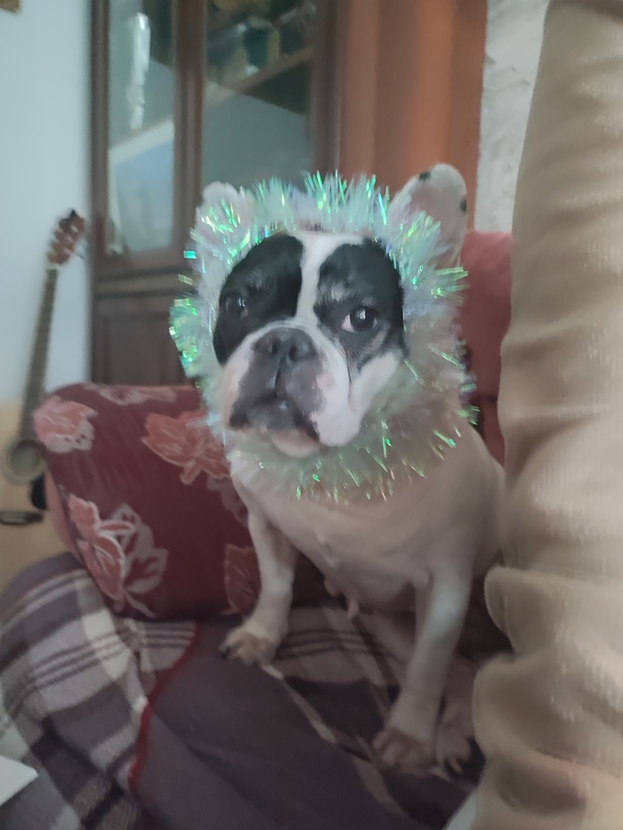 ������ ������ ���� ��������?�������� ���� ���������� ������� � ������������)