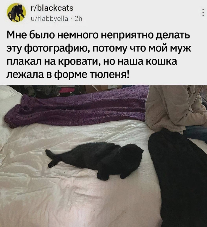  , X (Twitter), , , Telegram ()