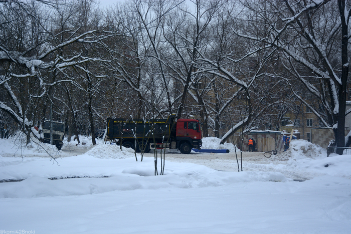На аллее между Авангардной и Смольной какой-то движ