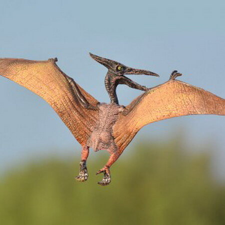 Птерозавры имели руки и крылья и умели летать, но по земле ходили на четвереньках