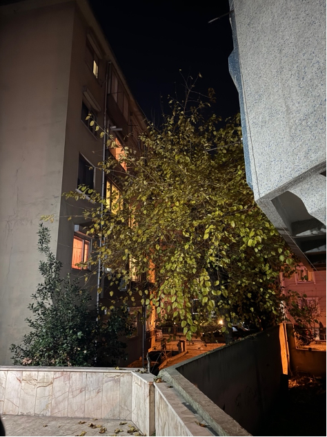 Турецкий вариант. Двор дома, где живет Андрей