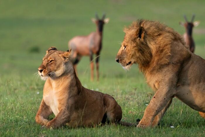 Не подходи ко мне, я обиделась