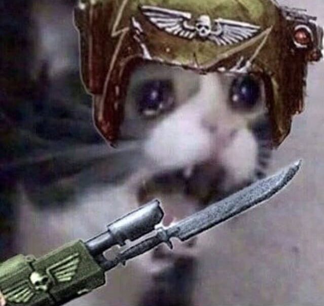 Гвардеец, когда ему предстоит сражаться с огромными живыми грибами, стальной нежитью с распыляющими на атомы оружием, демонами, гигантскими жуками и другими веселыми врагами