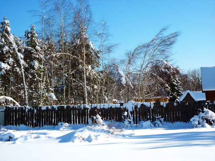 ������ ������