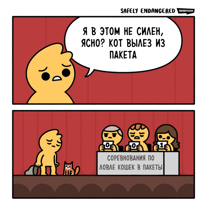 Кот и пакет | Пикабу