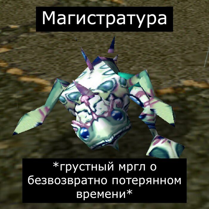 Виды студентов | Пикабу
