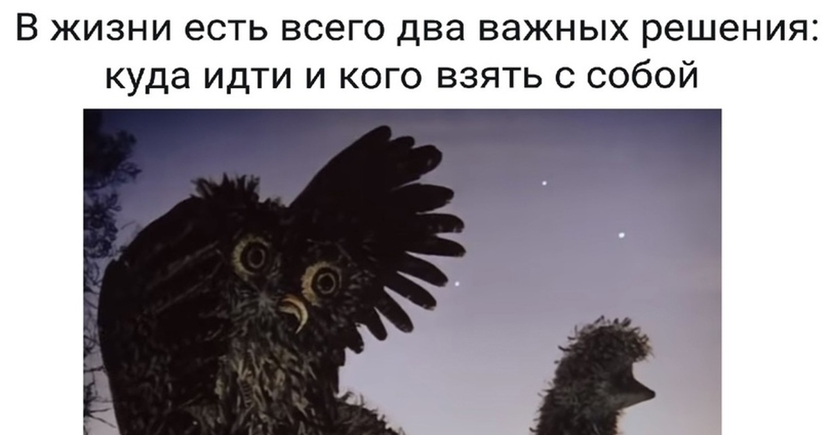 Ежик в тумане цитаты с картинками