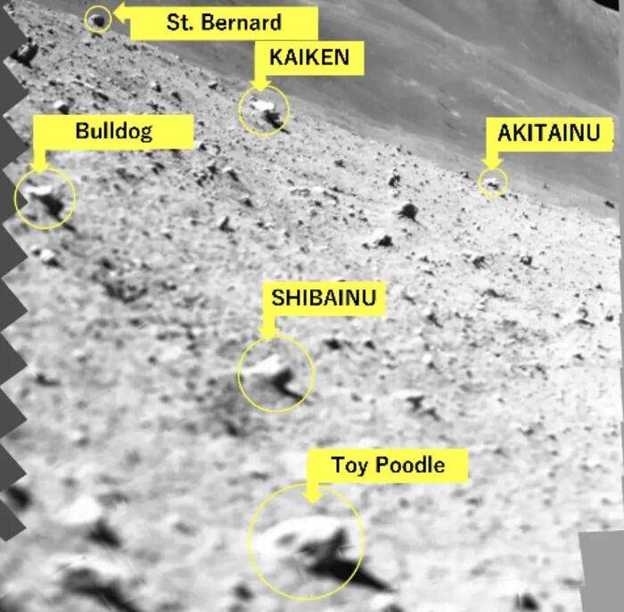 Окрестности прилунения аппарата с камнями. Стоит на склоне или аппарат наклонен. Линии горизонта не видно.