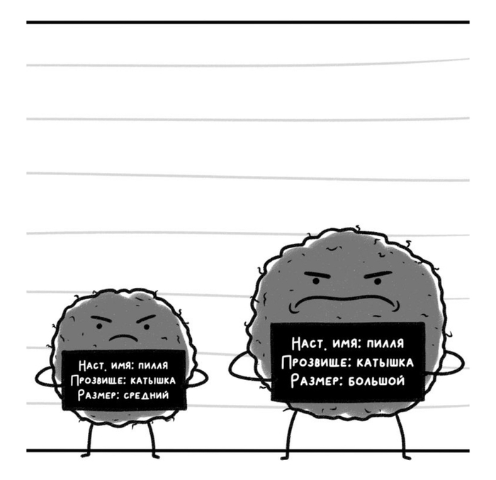    , , , , , 