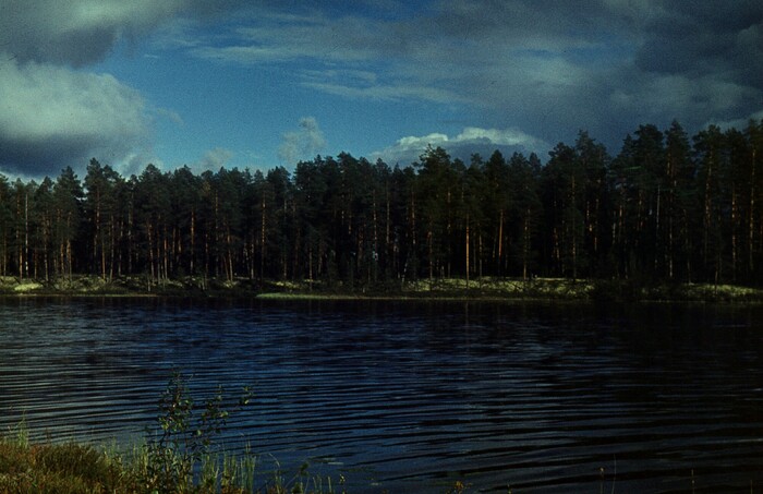 � ���� � ������������� ������� ������������� ��������.