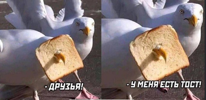  , Telegram (), ,   