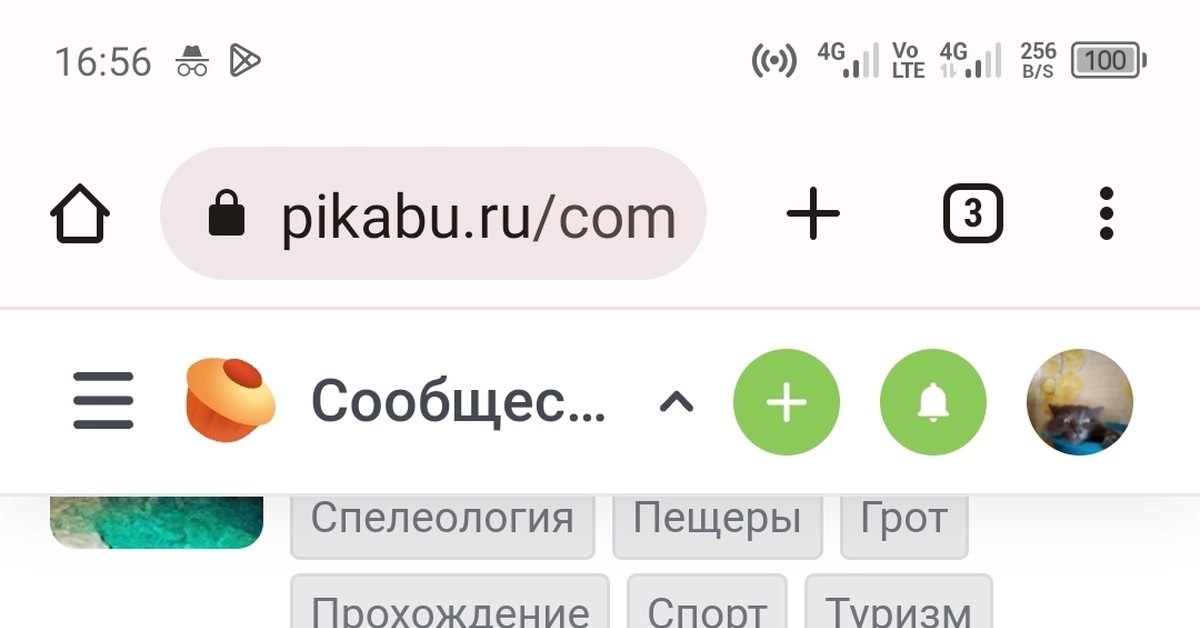 Процентное соотношение выяснено | Пикабу