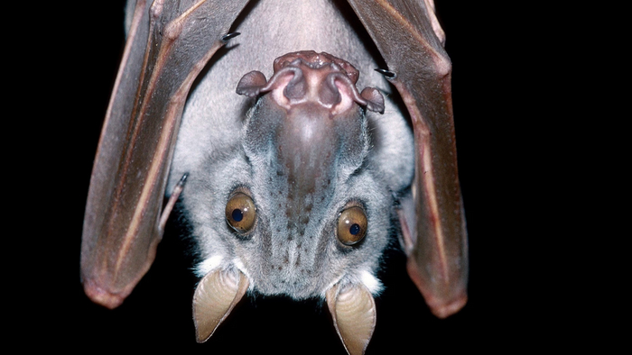 Да это пацаны орали, я просто рядом висел.