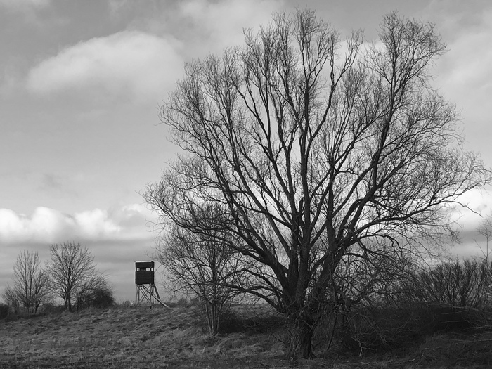 ��������. Wernigerode. ����� �� ���� ������.