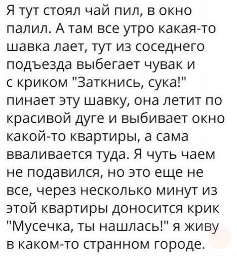 ������� �������!