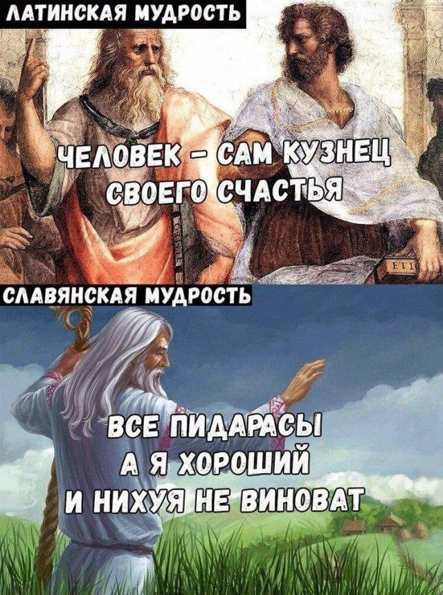 Мудрость | Пикабу