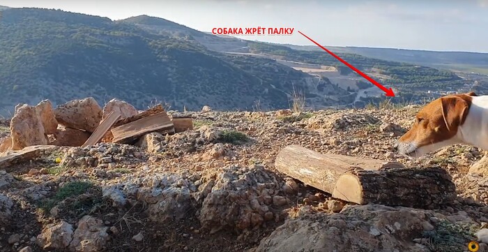 ������, ������� ����� ��������� ������.