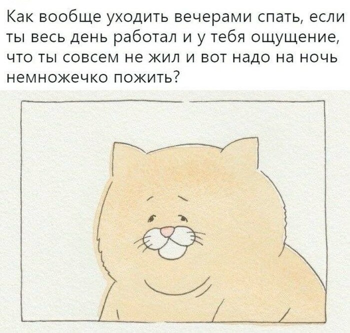 � ���� ������...