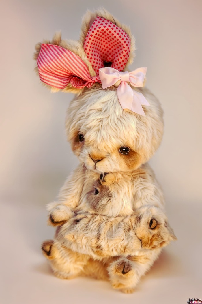 Продолжение поста «Паукотики! Восславим пятницу»