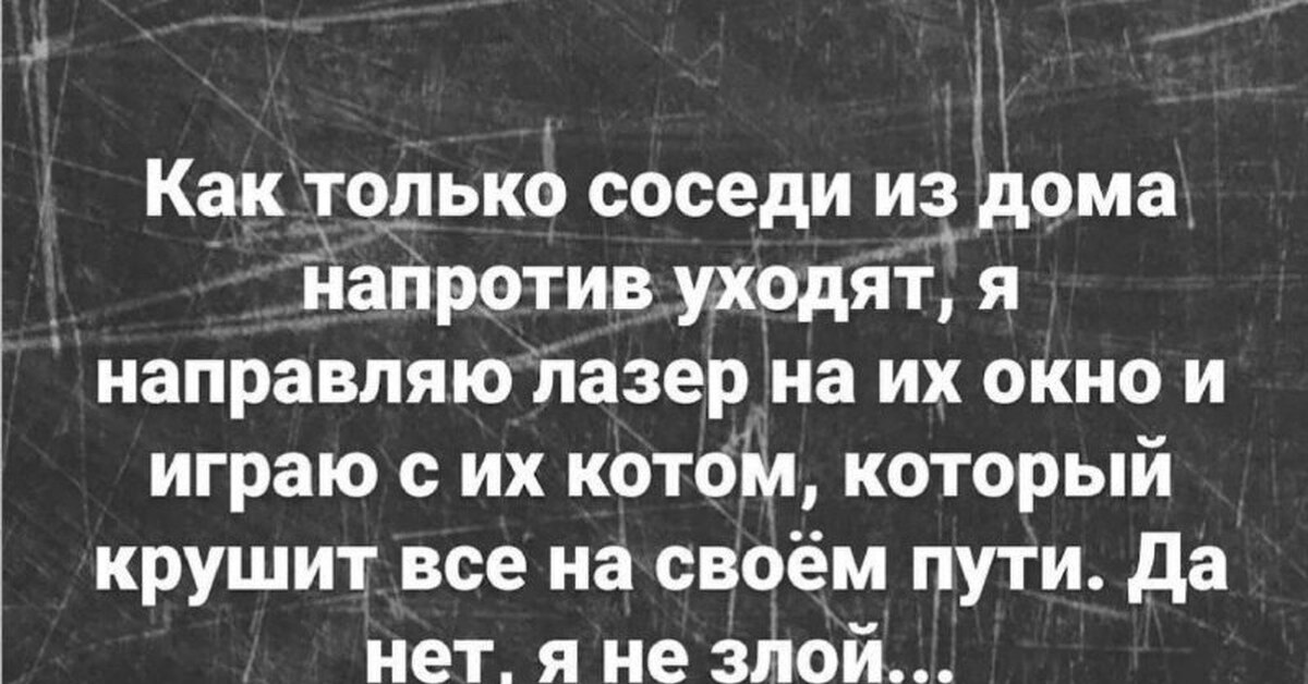 Проказник | Пикабу