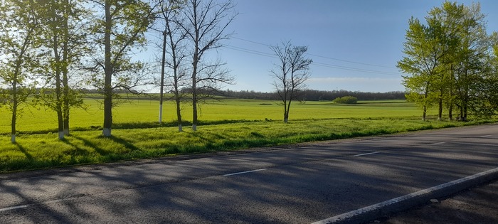 Про зарплаты и доходы