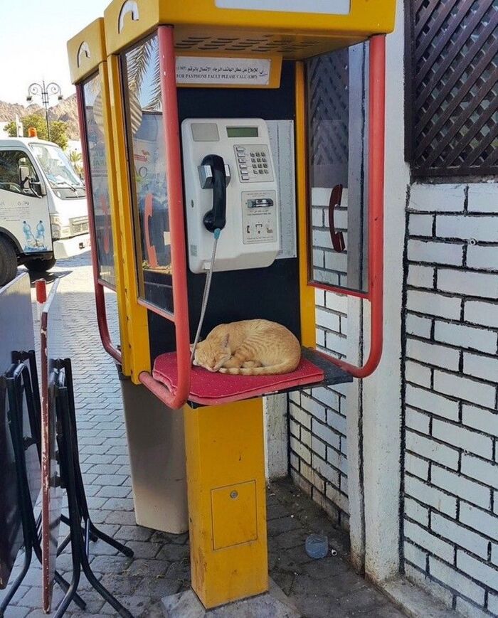 Угадай страну по фотографии