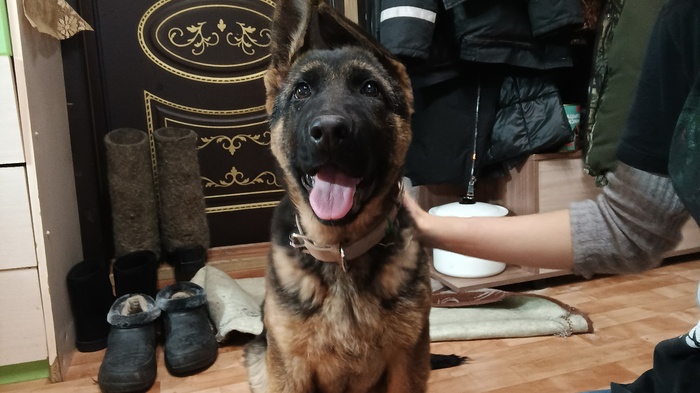 Декабрь 2023 (4 месяца)